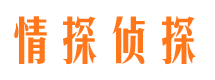 桐庐市婚外情调查